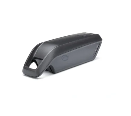 Bosch PowerPack 300 | Performance/Active | Rahmen