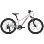 Cannondale KIDS TRAIL - 20" Kinderfahrrad