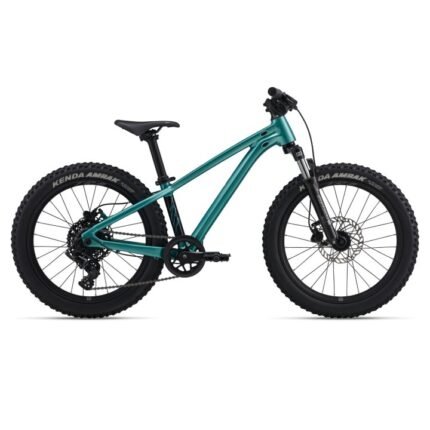 Giant STP 20 FS - 20" Kinder Mountainbike - 2027 - blaugrün